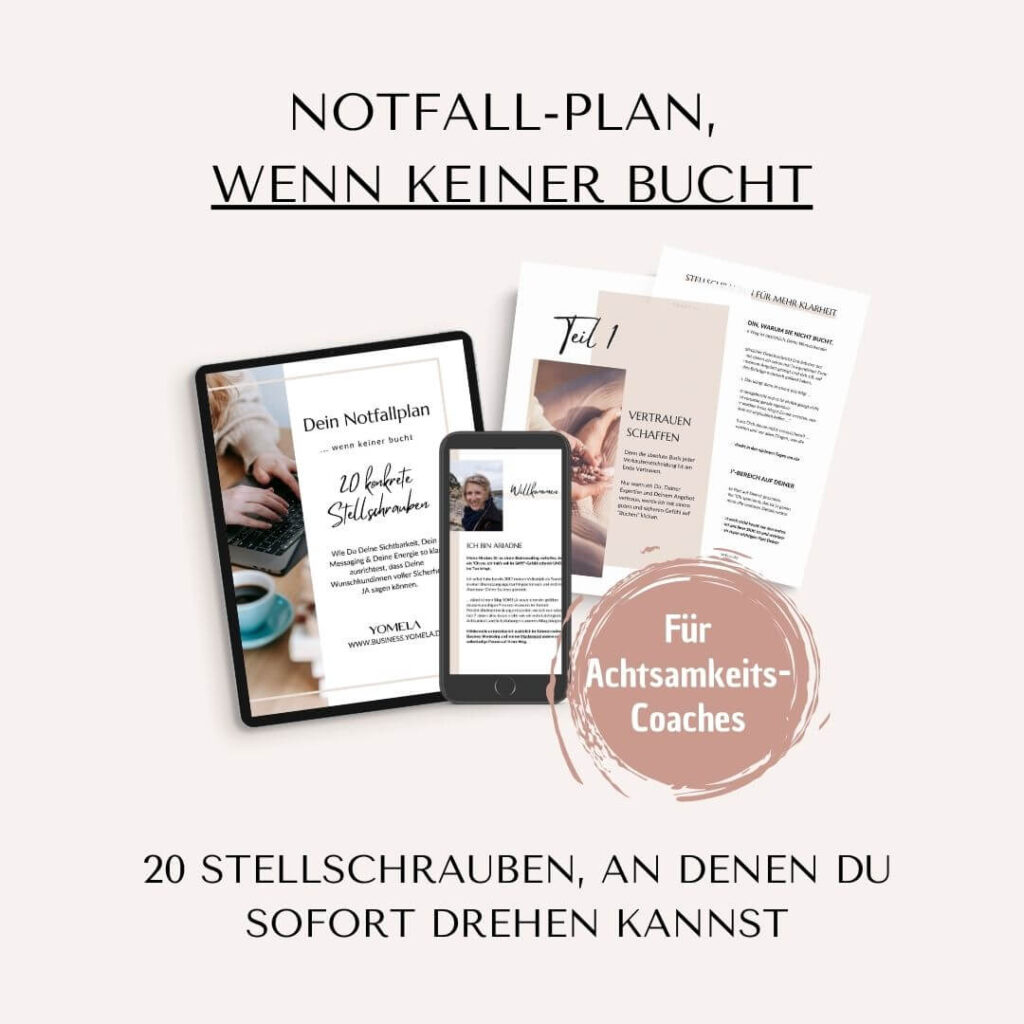 Notfall-Plan, wenn keiner bucht (für Achtsamkeits-Coaches)
